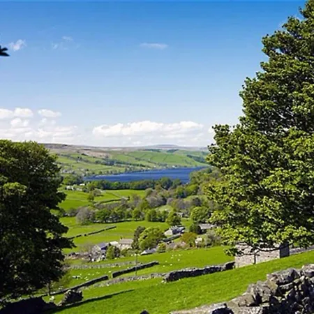 Acorn * Харрогейт