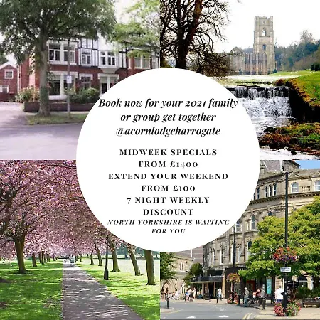 Acorn * هاروغايت