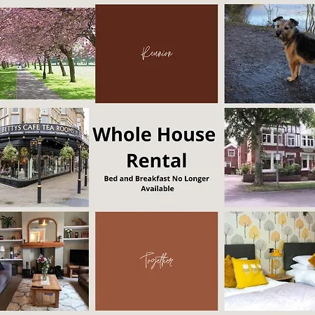 بيت للعطل Acorn